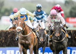 Punchestown Festival 2026 - Punchestown Racecourse, Punchestown Pavilion - Punchestown Gold Cup, Horse Racing