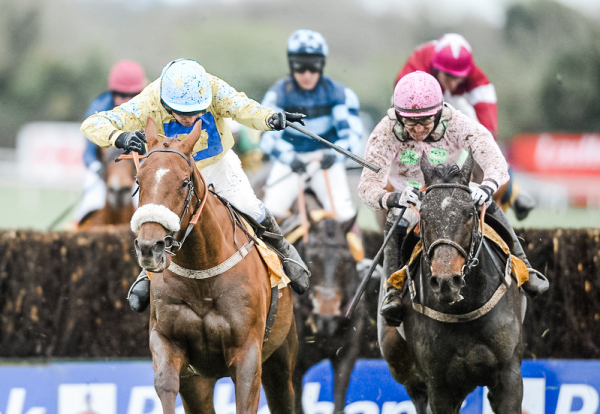 Punchestown Festival 2024 - Punchestown Racecourse, Punchestown Pavilion - Punchestown Gold Cup, Horse Racing