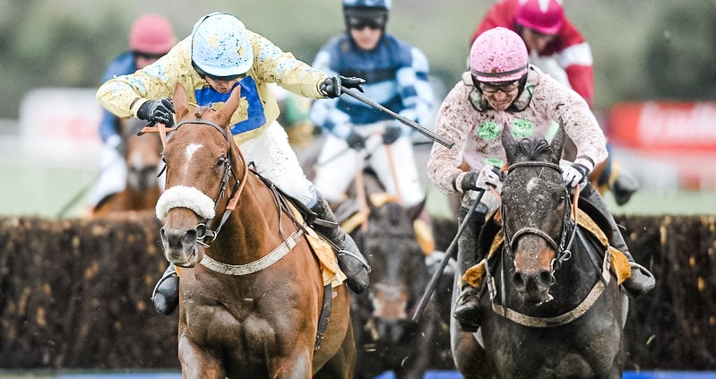 Punchestown Festival 2024 - Punchestown Racecourse, Punchestown Pavilion - Punchestown Gold Cup, Horse Racing