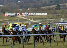 cheltenham