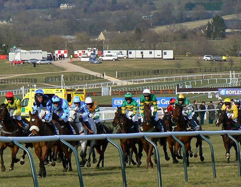 cheltenham