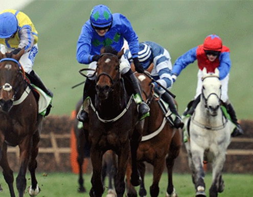cheltenham