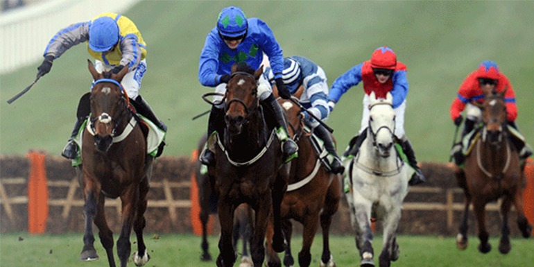 Cheltenham's New Year's Day 2024 - Cheltenham Racecourse - Private Grandstand Box Hospitality - Horse racing