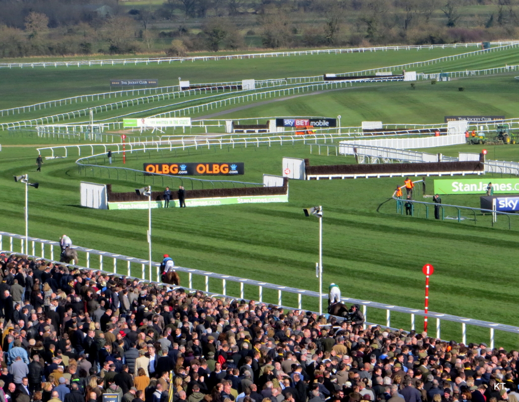 Cheltenham Hunter Chase Evening 2024 - Cheltenham Racecourse - Private Grandstand Box Hospitality - Horse Racing