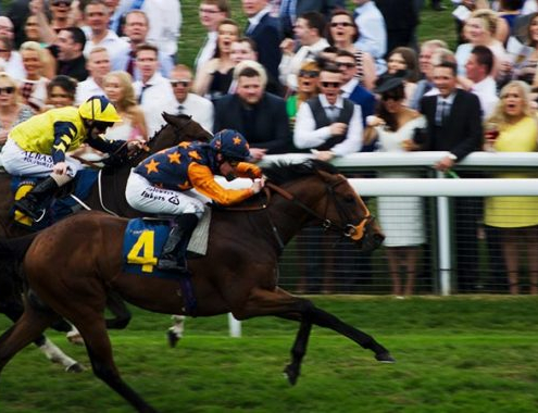 chester racecourse