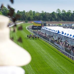 Chester May Festival 2024 - Chester Racecourse - Silks Restaurant Hospitality - Racecourse view