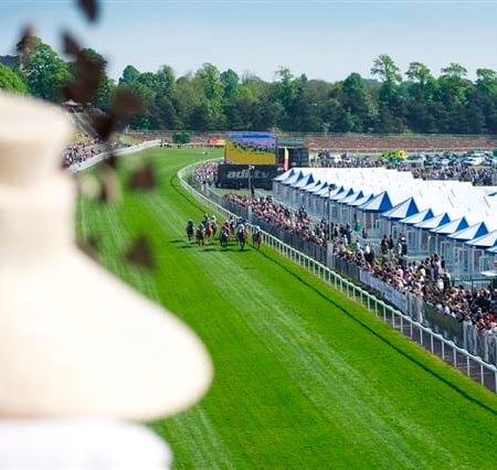 Chester May Festival 2026 - Chester Racecourse - Silks Restaurant Hospitality - Racecourse view