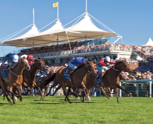 Qatar Goodwood Festival 2026 - Goodwood Racecourse, Private Parade Ring Facing Box - Hospitality