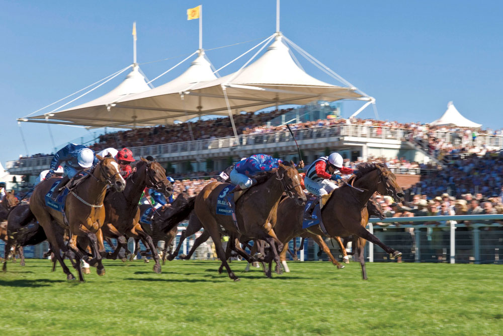 Goodwood Horse Racing Motor Sports Events 2025