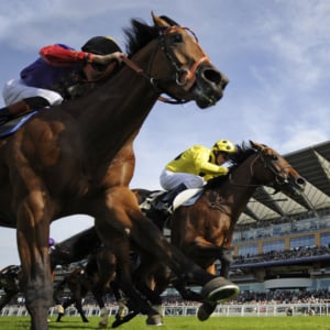 Horse Racing, Ascot Racecourse - Royal Ascot 2024