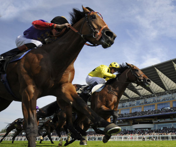 Horse Racing, Ascot Racecourse - Royal Ascot 2024