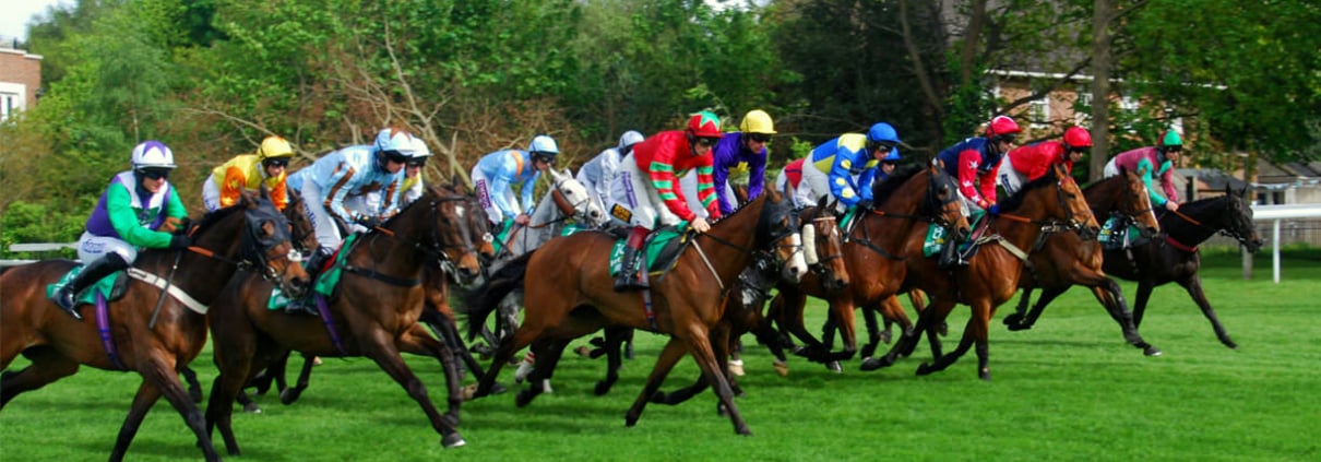 Newbury-Hennessy-Gold-Cup Newbury Racecourse