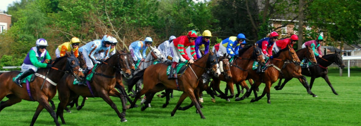 Newbury Racecourse