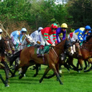 Newbury Racecourse