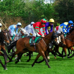 Newbury Racecourse