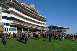 Newbury Racecourse - Hennessy Gold Cup Chase