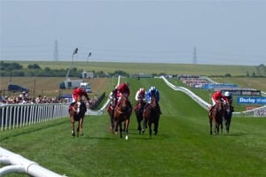 Cambridgeshire Meeting 2024 - Newmarket Racecourse - Private Grandstand Box Hospitality - Horse Racing