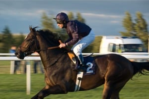 The Final Meeting 2024 - Newmarket Racecourse - Private Grandstand Box - Horse Racing