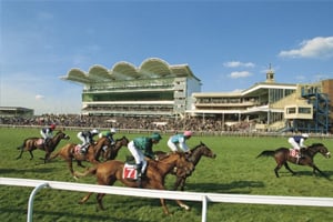 The Final Meeting 2024 - Newmarket Racecourse - Private Grandstand Box Hospitality - Horse Racing