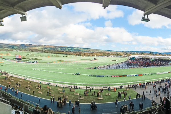 Cheltenham Festival 2024 - Cheltenham Racecourse - Private Grandstand Box view