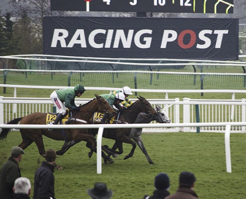 cheltenham racing