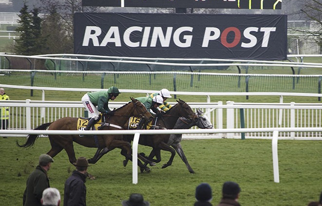 Cheltenham Showcase Meeting 2024 - Cheltenham Racecourse - Private Grandstand Box Hospitality - Horse racing