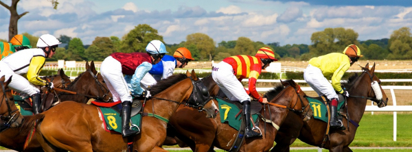 St Leger Festival 2025 - Doncaster Racecourse - Private Box Hospitality - Horse racing