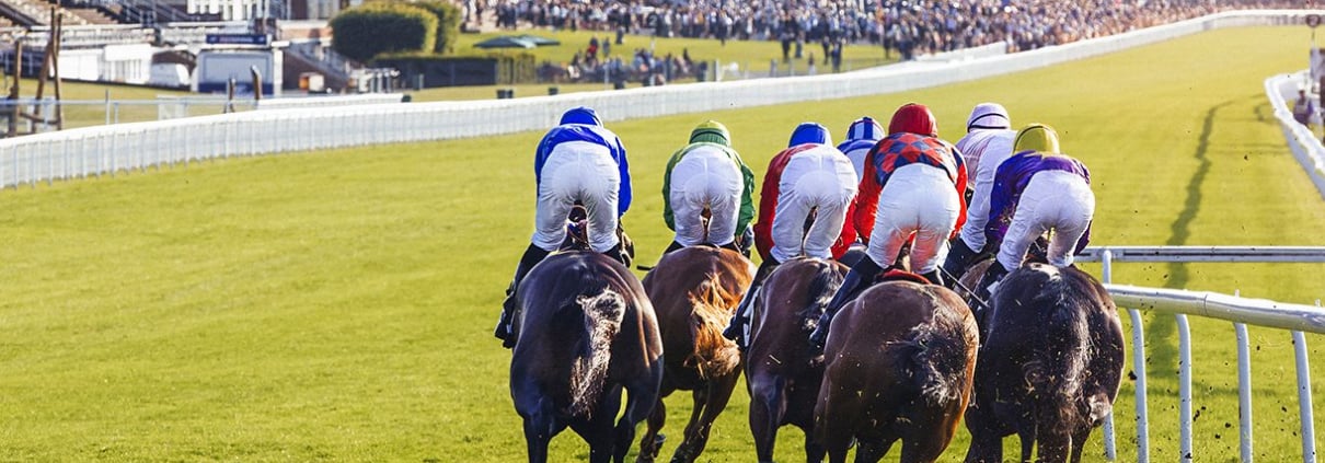 Qatar Goodwood Festival 2024 - Goodwood Racecourse, The Long View - The Richmond Enclosure, horse racing