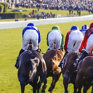 Qatar Goodwood Festival