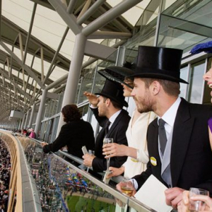 Ascot Box at Major Race Days