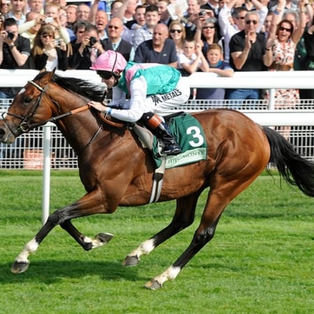 York Ebor Festival 2027, York Racecourse - Dante Suite Hospitality - Knavesmire Stand - Horse Racing