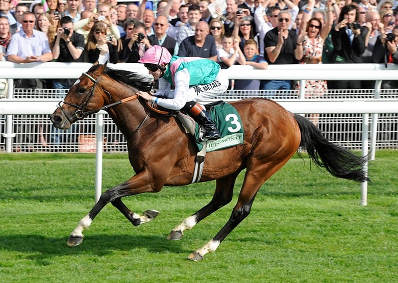 York Racecourse