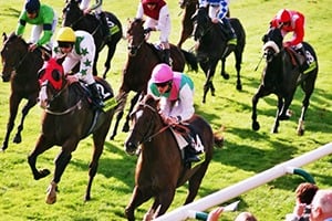 newmarket newmarket