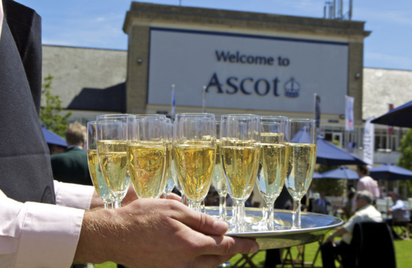 Champagne Reception - Ascot Racecourse - Parade Ring, Royal Enclosure - Royal Ascot Hospitality 2024