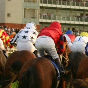 Sandown Racecourse