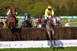 Bet365 Jump Finale Day 2024 - Sandown Racecourse, Equus Restaurant - Horse Racing