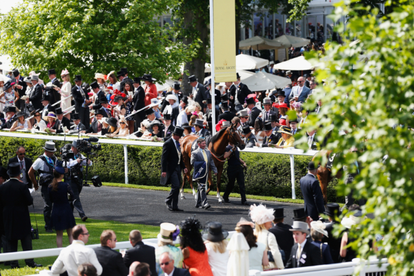 Parade Ring, Royal Enclosure, Royal Ascot 2024, Ascot Racecourse