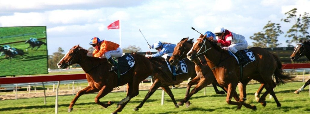 warwick-banner-1030x380 warwick