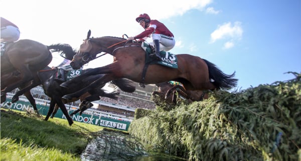Randox Grand National Festival 2026, Aintree Racecourse, Tiger Roll Suite Hospitality - Horse Racing