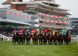 Coral Gold Cup Day 2027 - Newbury Racecourse - Silks Restaurant Hospitality - Horse Racing
