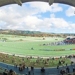 Cheltenham Festival 2024 - Cheltenham Racecourse - Private Grandstand Box view