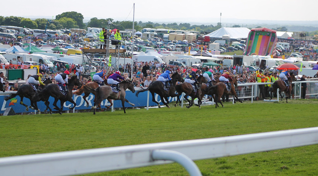 Epsom derby horses