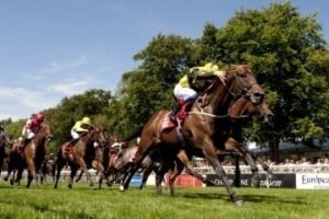 Newmarket QIPCO Guineas Festival