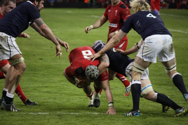 Wales v Scotland - Guinness Six Nations Rugby Hospitality 2024 - Principality Stadium