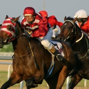 St Leger Festival 2025 - Doncaster Racecourse - Cusworth Private Chalets Hospitality - Horse Racing