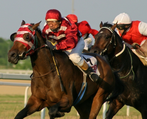 St Leger Festival 2027 - Doncaster Racecourse - Cusworth Private Chalets Hospitality - Horse Racing