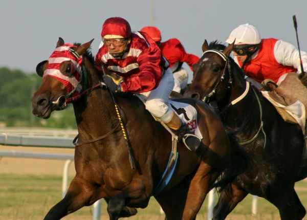 St Leger Festival 2025 - Doncaster Racecourse - Cusworth Private Chalets Hospitality - Horse Racing