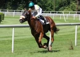 St Leger Festival 2026 - Doncaster Racecourse - Cusworth Private Chalets Hospitality - Horse Racing