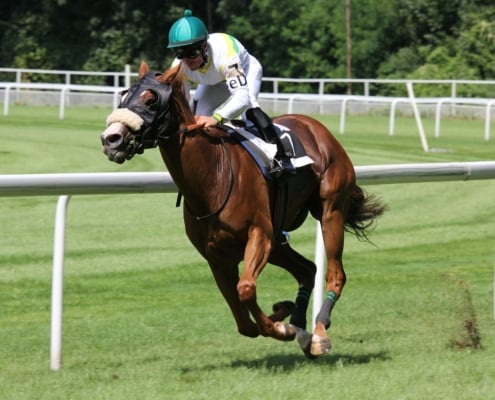 St Leger Festival 2026 - Doncaster Racecourse - Cusworth Private Chalets Hospitality - Horse Racing