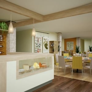 Cheltenham Festival 2026 - Cheltenham Racecourse - Four Eighty Restaurant - Hospitality